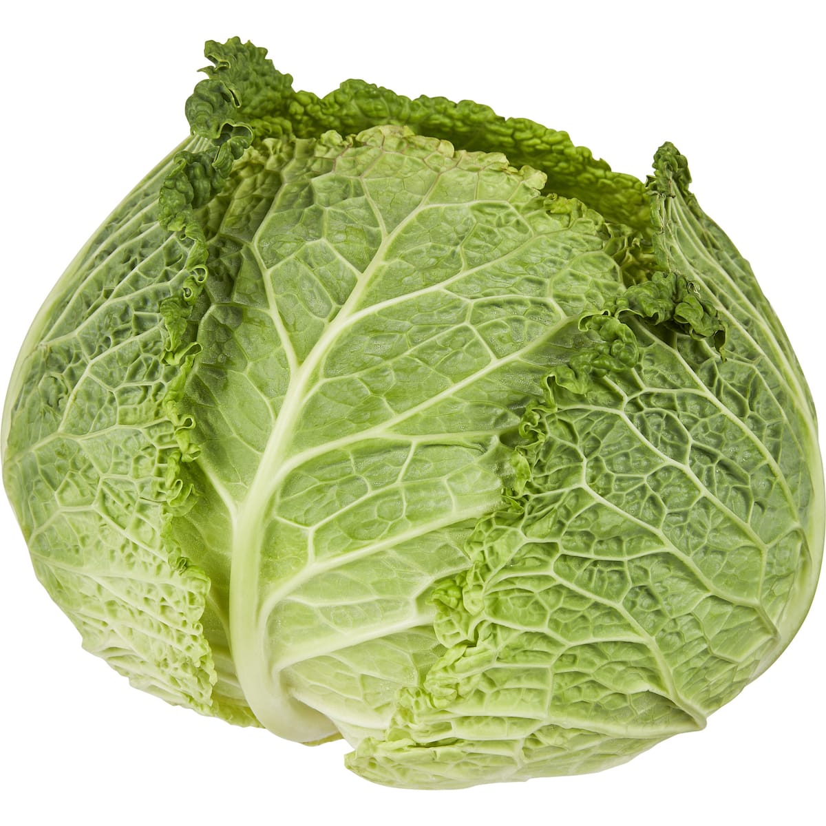 Cabbage Savoy Whole