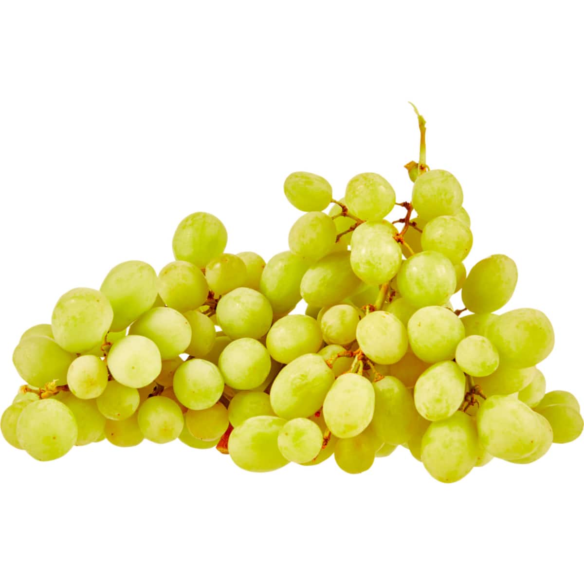 Grapes Green Imported Loose