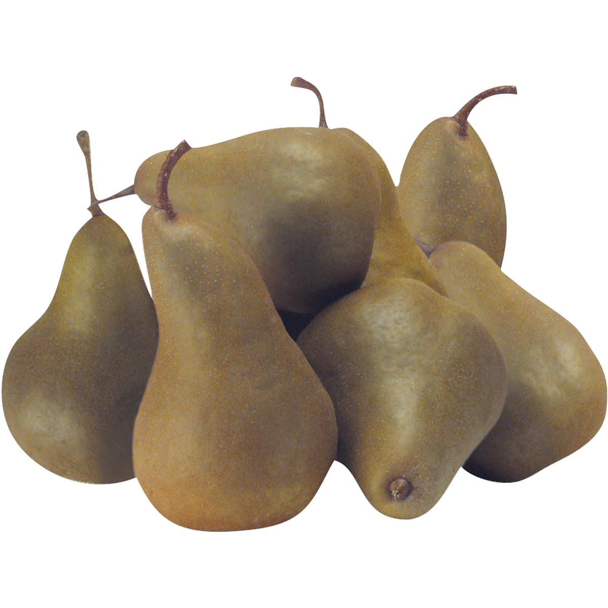 Pears Beurre Bosc