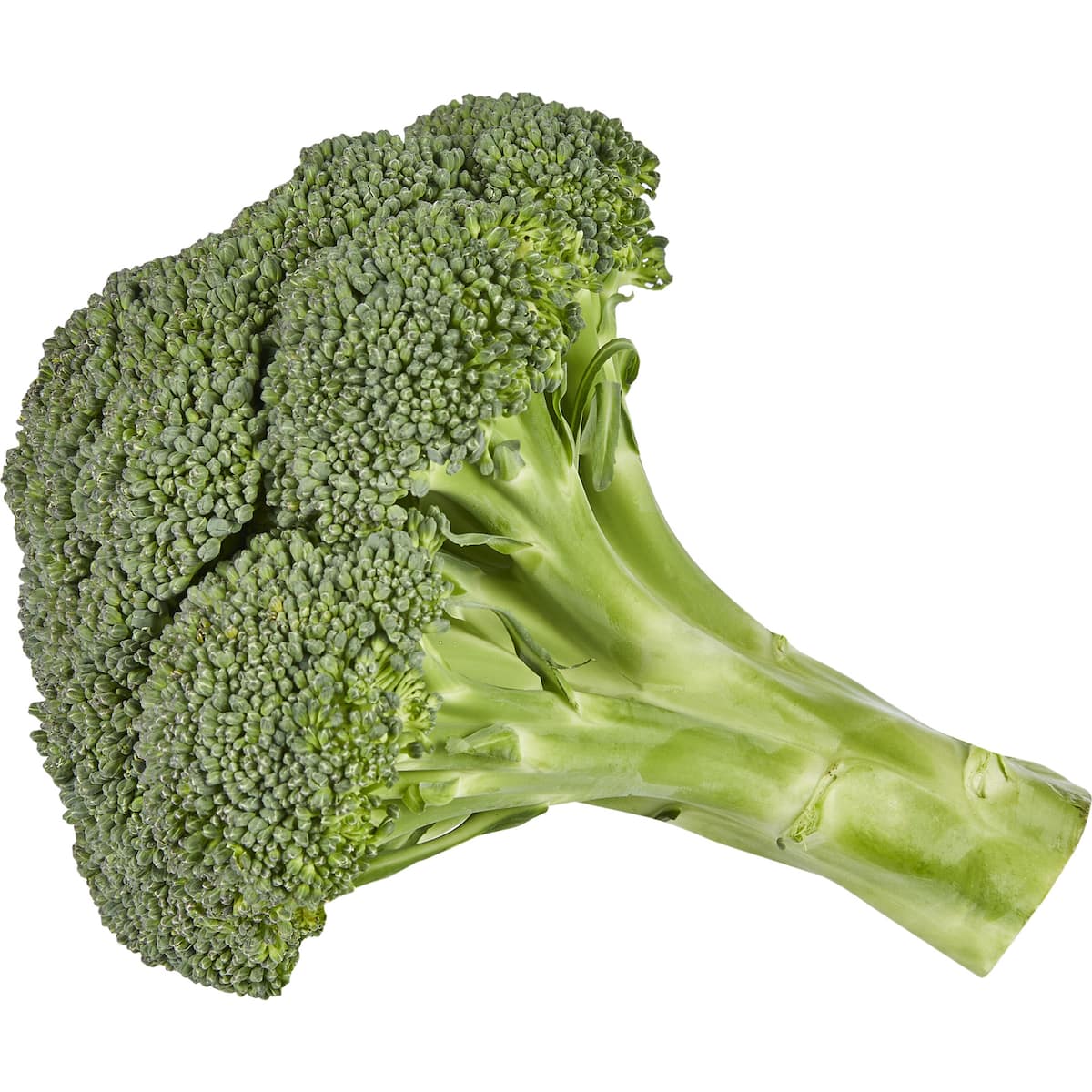 Broccoli Head