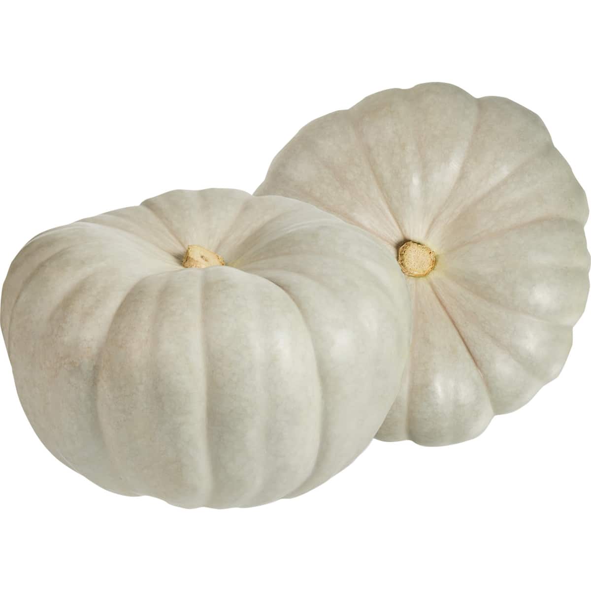 Fresh Pumpkin Crown Medium