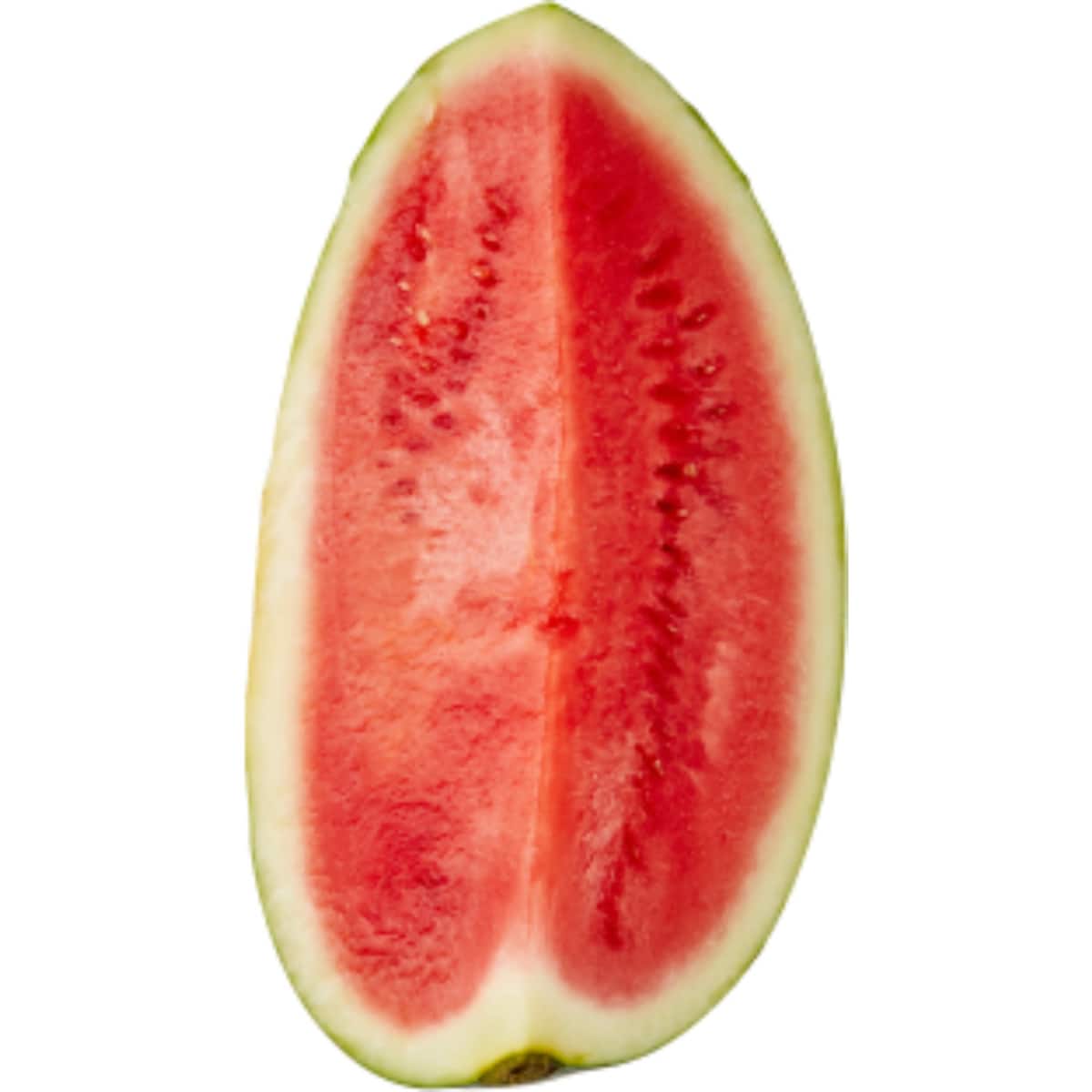 Watermelon Seadless