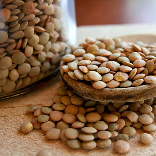 Brown Lentils