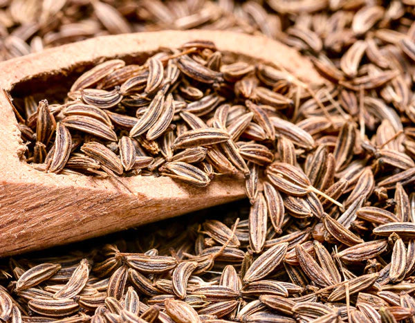 Caraway Seed